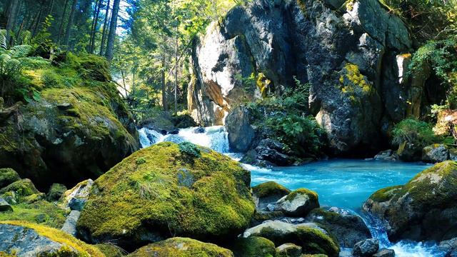Relaxing music 🎧 The essence of Zen sings the balance of nature 🌾Serenity and greater personal powe смотреть онлайн