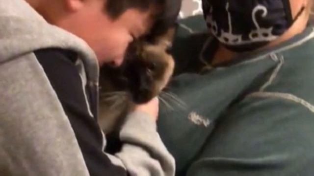 Мальчик не сдержал слез, увидев своего пропавшего кота смотреть онлайн