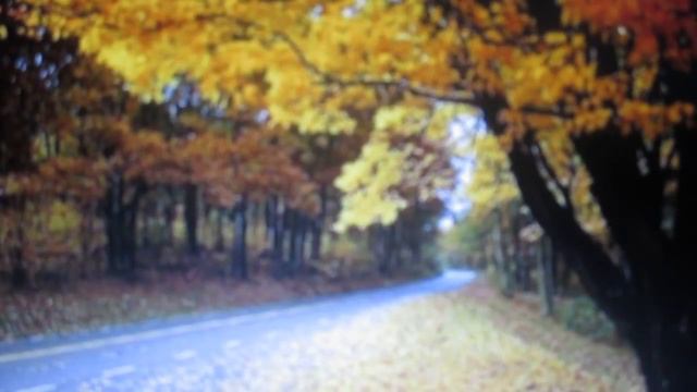 Что, кроме скорби Романс Автор-исполнитель - Ника Сигал смотреть онлайн