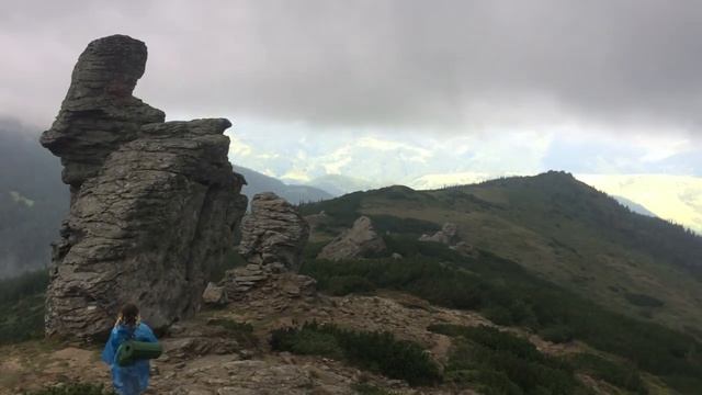 кажан жаба кабан вурда обсерватория морчиба волшебные грибы смотреть онлайн