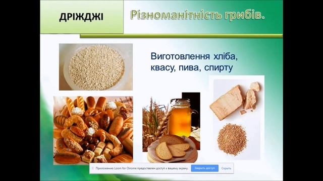 Урок "Особливості грибів" смотреть онлайн