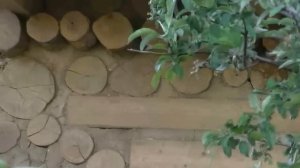 Дом по необычной "эко" технологии  "Обрезки брёвен+глина" или ГЛИНО-ЧУРКА