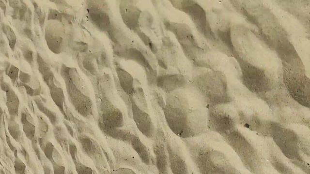 Пустые пляжи Анапы из-за божьих коровок 10.07.2021г. смотреть онлайн