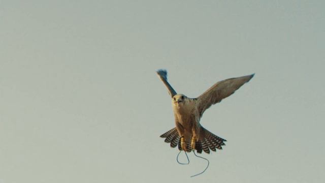 Volkswagen The Chase: Part 2 смотреть онлайн