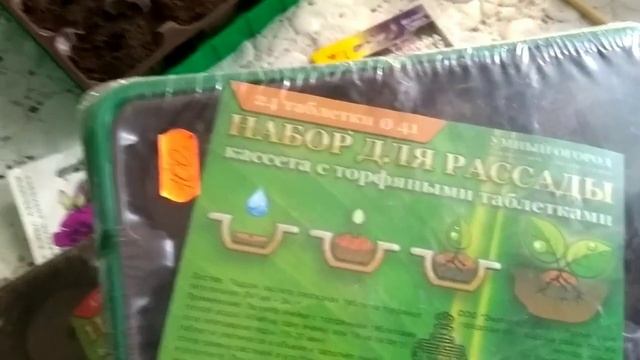 Посадите эти цветы в 2023г,вы не пожалеете! Способы посева эустомы. Размножение колеусов. смотреть онлайн