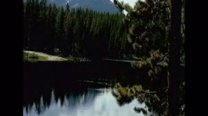 Сябры Глухариная заря