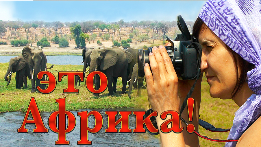 Путешествие по Африке. Часть 2. Африканское сафари и водопад Виктория. смотреть онлайн