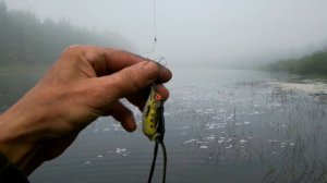 Простая лягушка-приманка для щуки