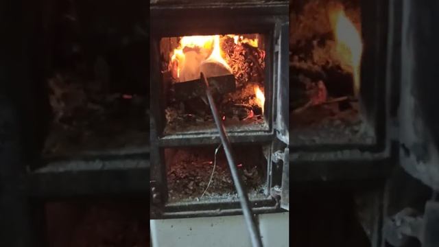 сжигаю мои тетради за этот учебный год вместе с ветками со двора на даче на протяжении 10 мин 29 се смотреть онлайн