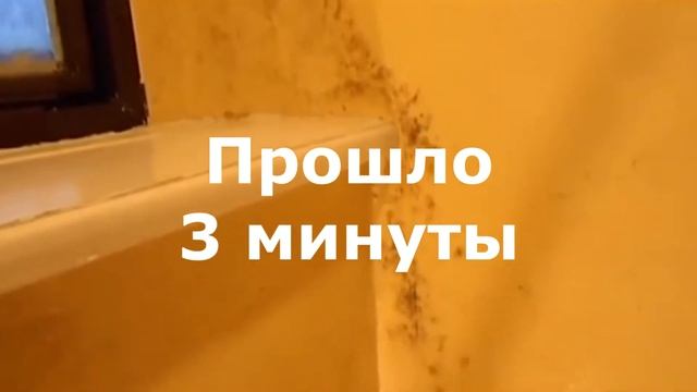 Удаление плесени в ванной со стен смотреть онлайн