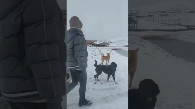 Ирода Маткаримова, машины не могут заехать, 50 млн на навес