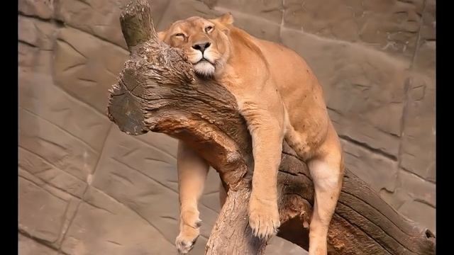 Плохая энергетика человека. Надо что то делать! смотреть онлайн