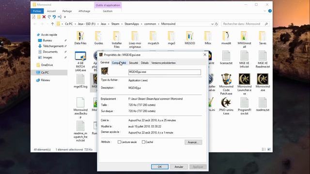 Morrowind Augmenter Taille Texte et Interface смотреть онлайн
