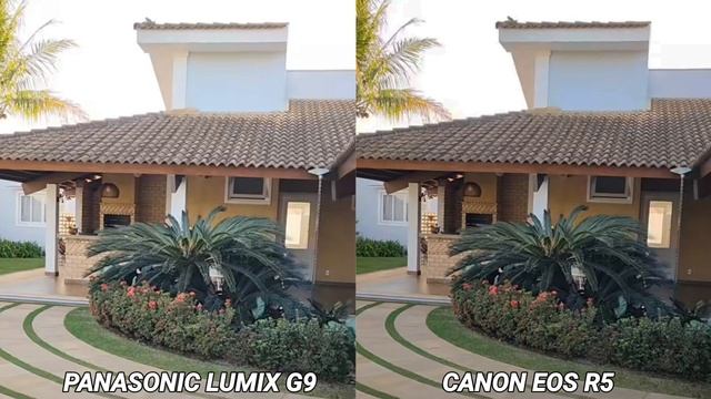 Panasonic Lumix G9 vs Canon Eos R5 Camera test