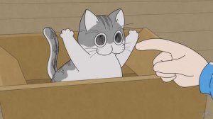 Вечера с кошкой