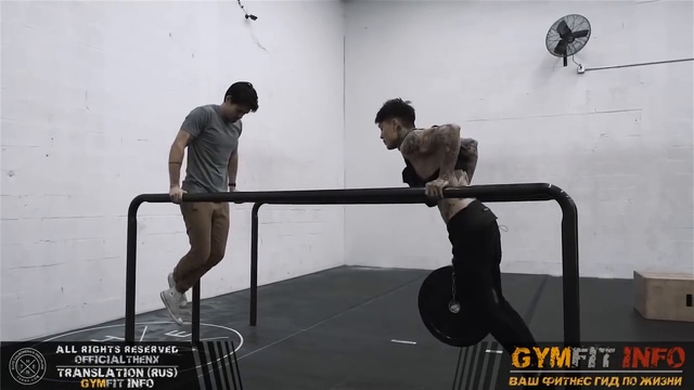 КРИС ХЕРИА. Калистеника для НАЧИНАЮЩИХ. Тренировка с СОБСТВЕННЫМ ВЕСОМ (воркаут) смотреть онлайн