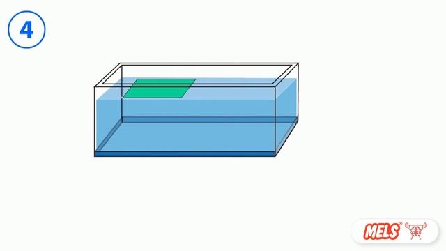 Brain Exercise Riddles 3 || LOGICAL THINKING SKILLS || Memory games brain training | смотреть онлайн