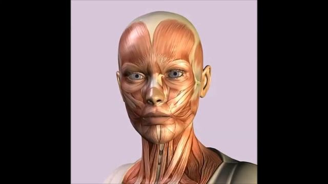 Мимика, которая старит наше лицо смотреть онлайн