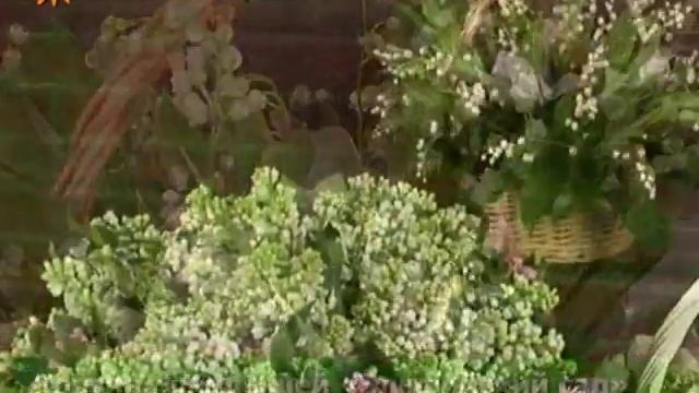 Копоративные подарки на 8 марта от Flower-shop.ru смотреть онлайн