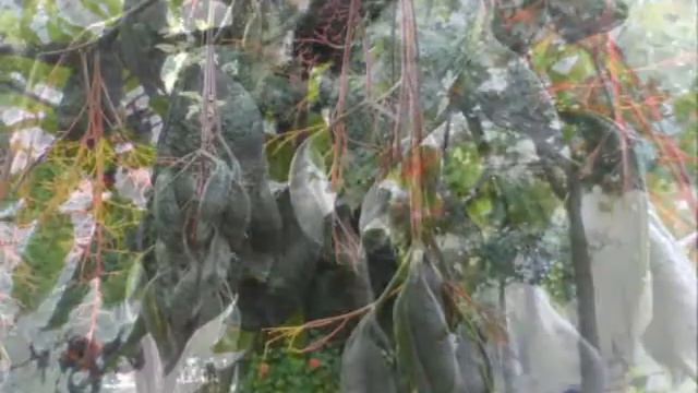 Мое утро и вечер, и дождик на 5 минут, Алаурин де ла Торре, Испания, 4 июля 2015 г смотреть онлайн