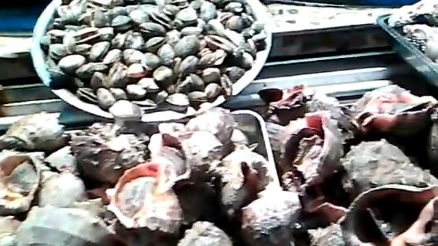 Sher in China about chinese foods смотреть онлайн