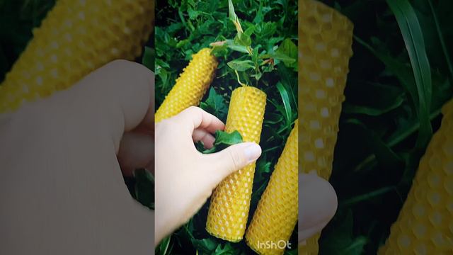 ВОЩЁНЫЕ СВЕЧИ С ПОЛЫНЬЮ