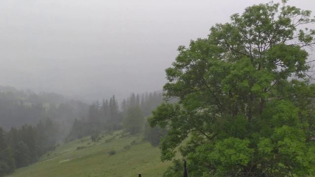 Web kamera Tatry 4k, Gliczarów Górny, Biały Dunajec, dzień смотреть онлайн