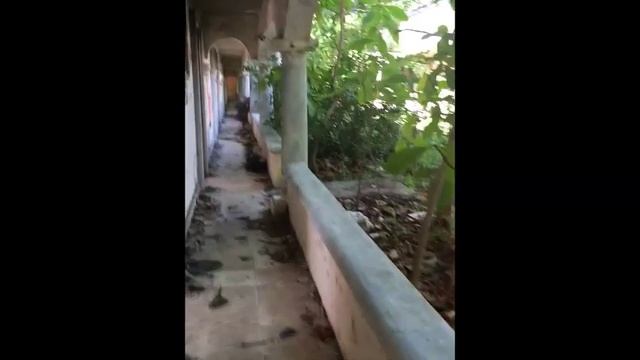 PUERTO JUAREZ, LA OTRA PARTE DE CANCÚN смотреть онлайн