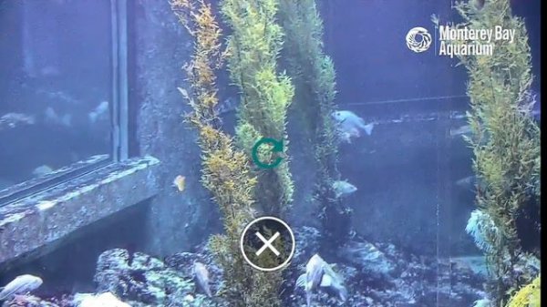 Программа-World📽🎥📹