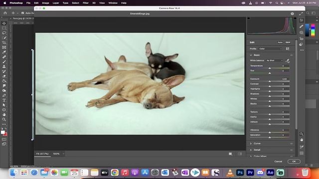 Remove Pre-Applied Filters From Photos - Photoshop & Camera Raw | #photoshop смотреть онлайн