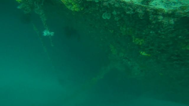 Spiegel Grove & Jellies Deep Dive with Olympus Tough TG5 смотреть онлайн