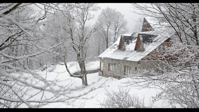 Расслабляющие звуки тихого,зимнего дня. Атмосферные звуки зимы для отдыха,сна,медитации. Белый шум смотреть онлайн