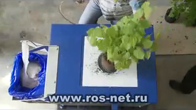Rosnet chistovoy v02 xvid смотреть онлайн