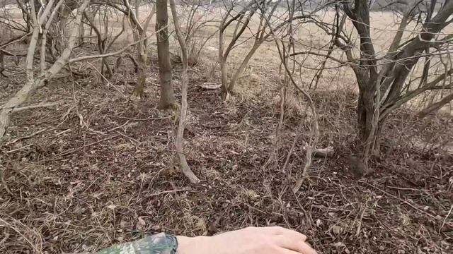 Hunting with the Cheapest Air Rifle on Amazon! смотреть онлайн
