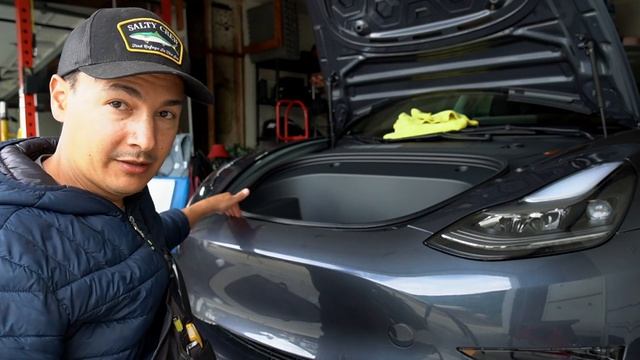 2021 Tesla Model 3 - STEK Dynoshield Paint Protection Film смотреть онлайн