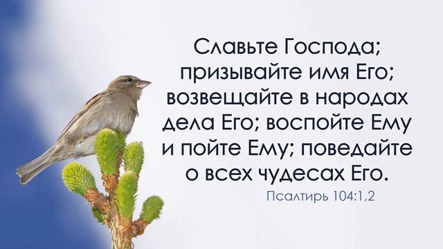 Бог мой Единый смотреть онлайн