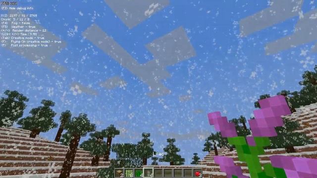 Minecraft-Clone. C++, OpenGL.