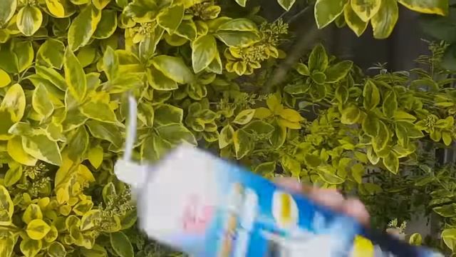 D40 Navara Mass Air Flow Sensor (MAF) Cleaning смотреть онлайн