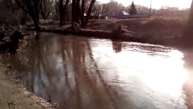 Рыбы в реке Шемонаихе смотреть онлайн