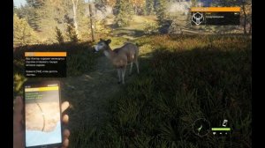Как изменить язык  the Hunter Call Of The Wild Эпик Геймс Epic русификатор