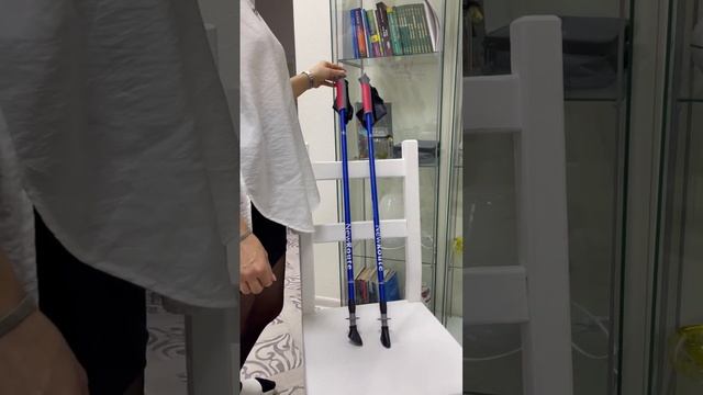 Скандинавская ходьба-лучший вариант физической нагрузки на каждый день! https://экология-человека.р смотреть онлайн