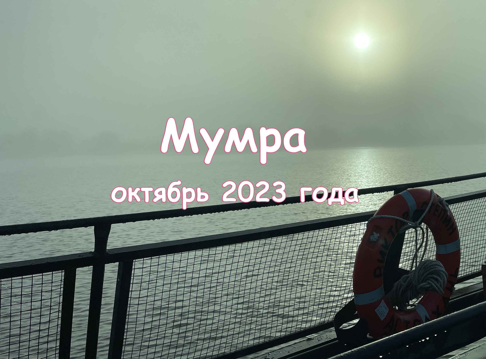 Рыбалка на НИЖНЕЙ ВОЛГЕ. МУМРА 2023. Дорога смотреть онлайн
