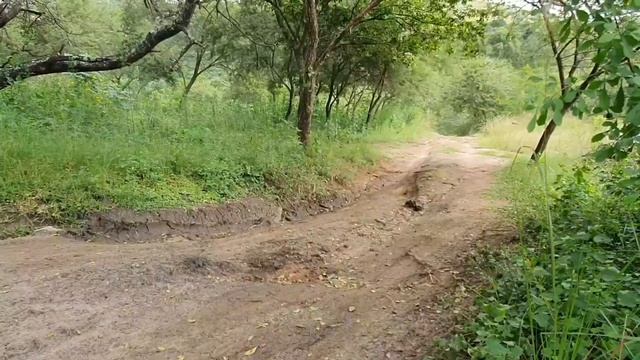 Renault Duster 4x4 offroad track with on road tyres South Africa KZN смотреть онлайн