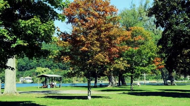 Adobe Premiere Elements 2020 Make Great Photos Better @BestBuy #photoshopelements #adobeelements #a смотреть онлайн