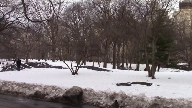 Где живут звезды Голивуда в Нью Йорке