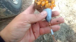 рыбацкая снасть казачка