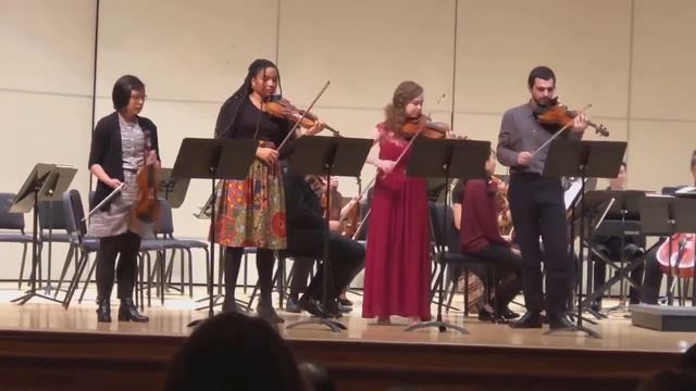 Vivaldi For 4 Violin Concertos In B Minor (1st Movement)