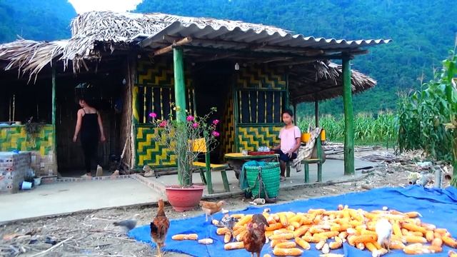 Single mom meet bad guy catching chickens on farm - Harvest corn, Living Off Grid смотреть онлайн