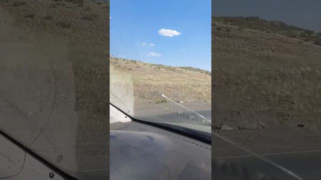 пожар в Новотроицке 29.06.2019 смотреть онлайн