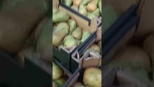 3 апреля 2022 г.Груша самый вкусний сорт, Фуд - Сити рынок, полное видео обзор на канал ?? смотреть онлайн